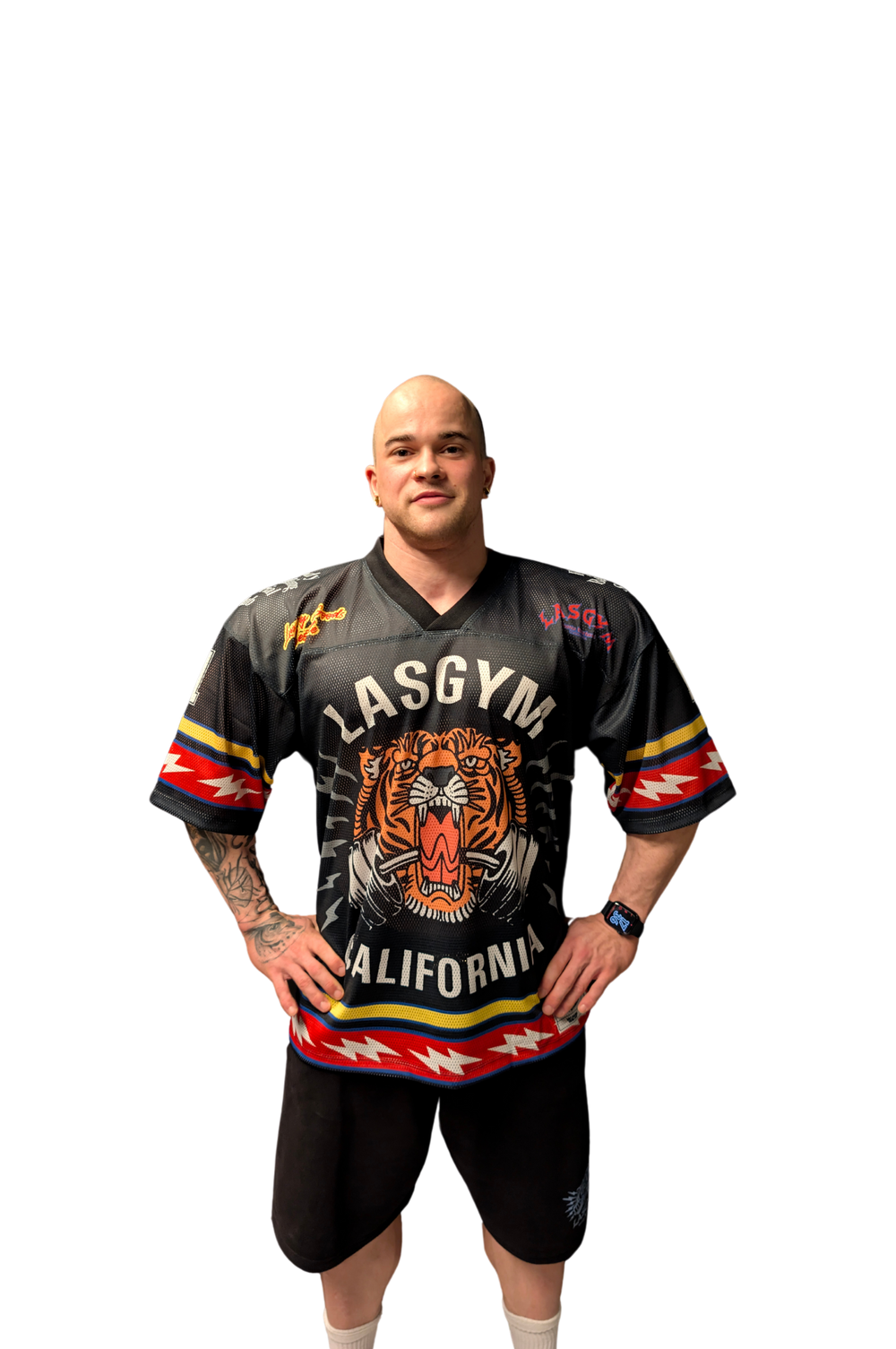 CROP T-SHIRTS KENDALL ZEBRA DEGRADE'