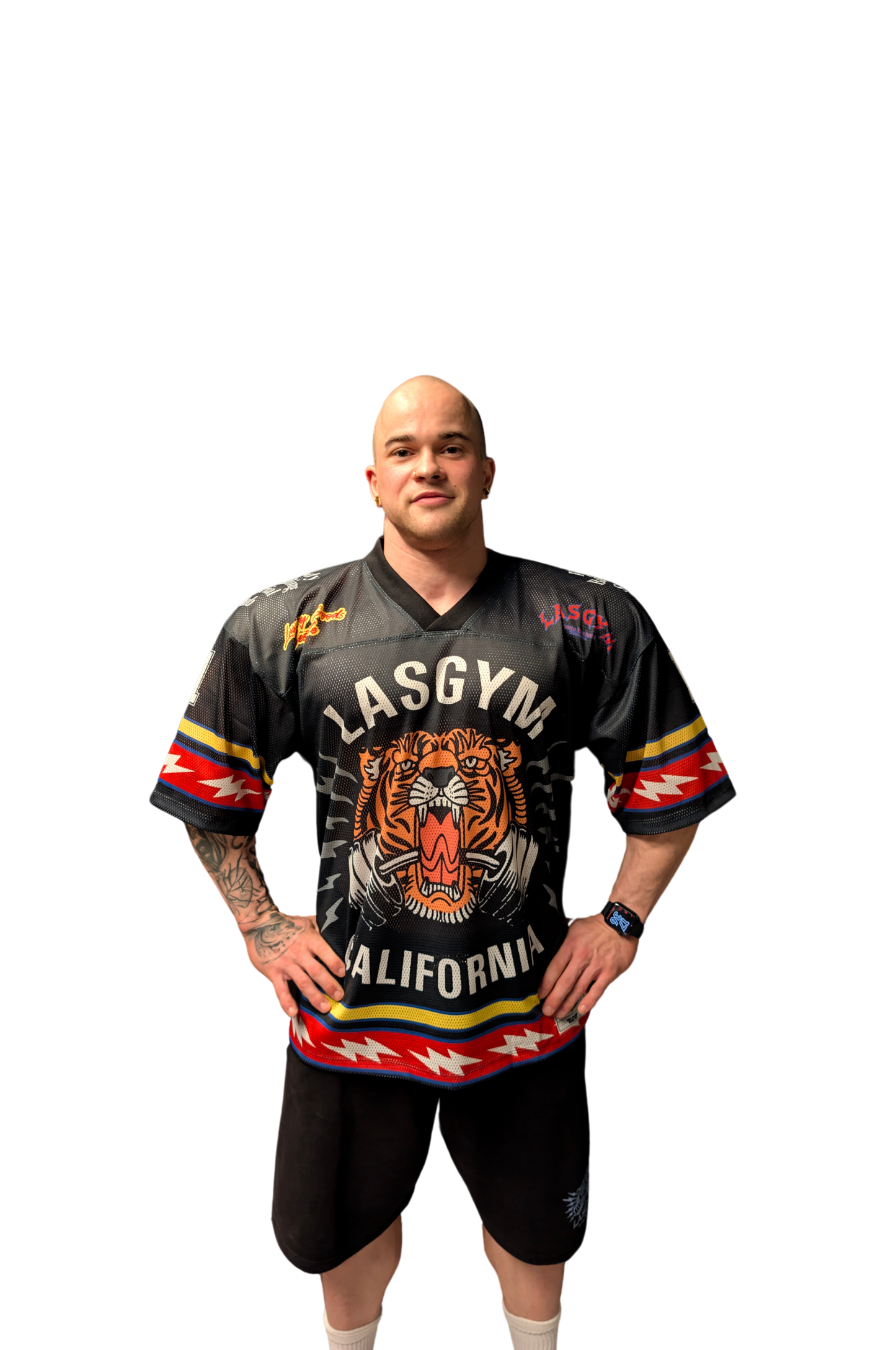 CROP T-SHIRTS KENDALL ZEBRA DEGRADE'