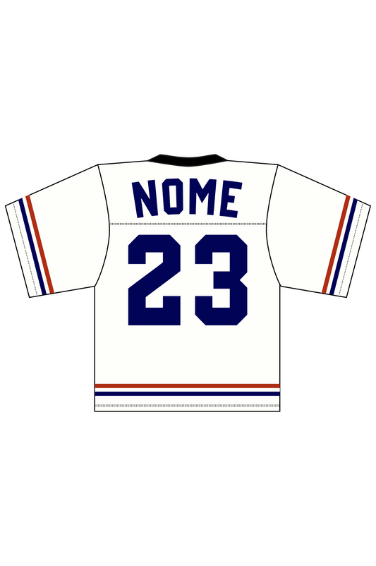 CROP T-SHIRTS KENDALL ZEBRA DEGRADE' 